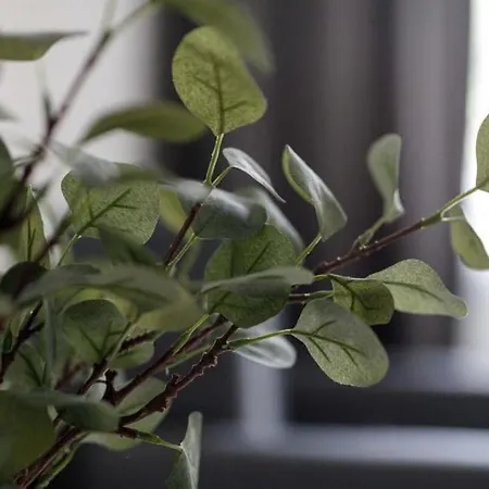 Urban Chic - Rynek Squre - Great Location & Widok * Wroclaw