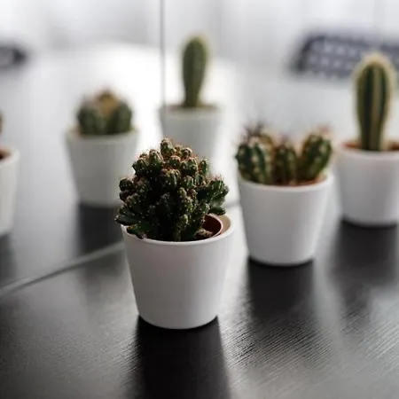 Urban Chic - Rynek Squre - Great Location & Widok * Wroclaw