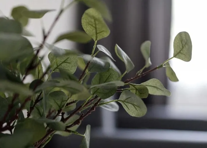 Urban Chic - Rynek Squre - Great Location & Widok * Wroclaw