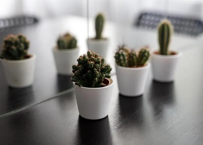 Urban Chic - Rynek Squre - Great Location & Widok * Breslau